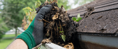 Home Maintenance - Clean Gutters