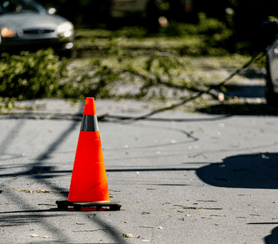 S&K - Downed Power line in street due to fallen limb. Orange caution cone in front