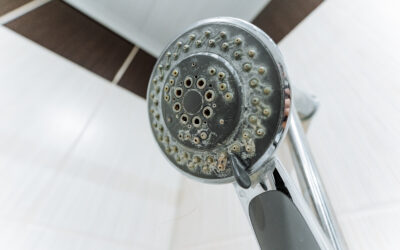 Hard Water in Hampton Roads: 4 Signs Your Plumbing Is Suffering