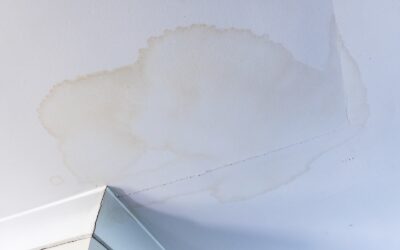 Signs of a Hidden Water Leak in Your Home