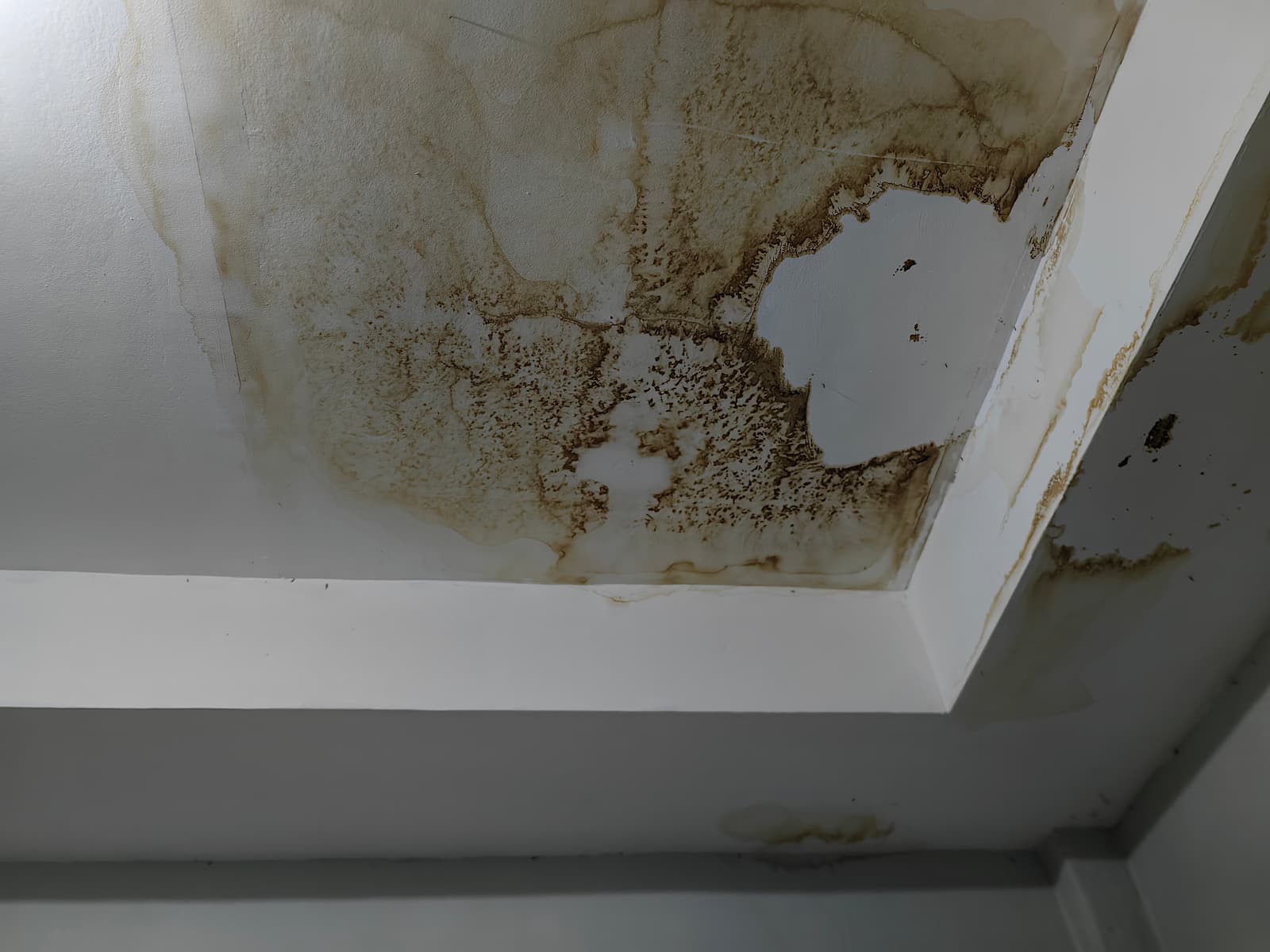 image of moldy ceiling caused by excessive water leakage hidden